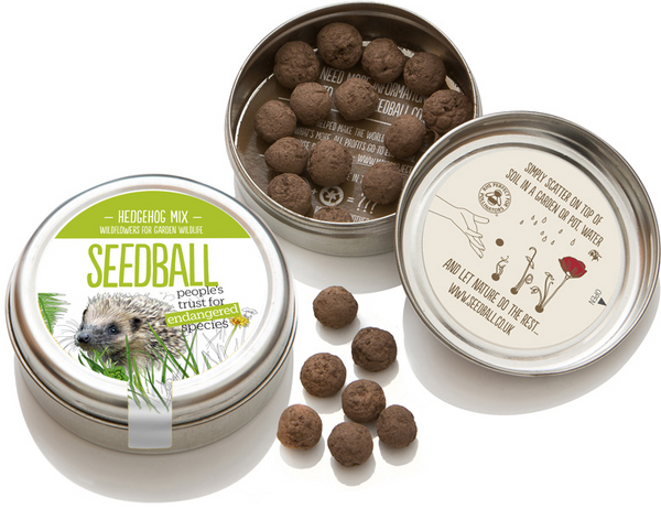 Seedball hedgehog mix seed tin 🦔