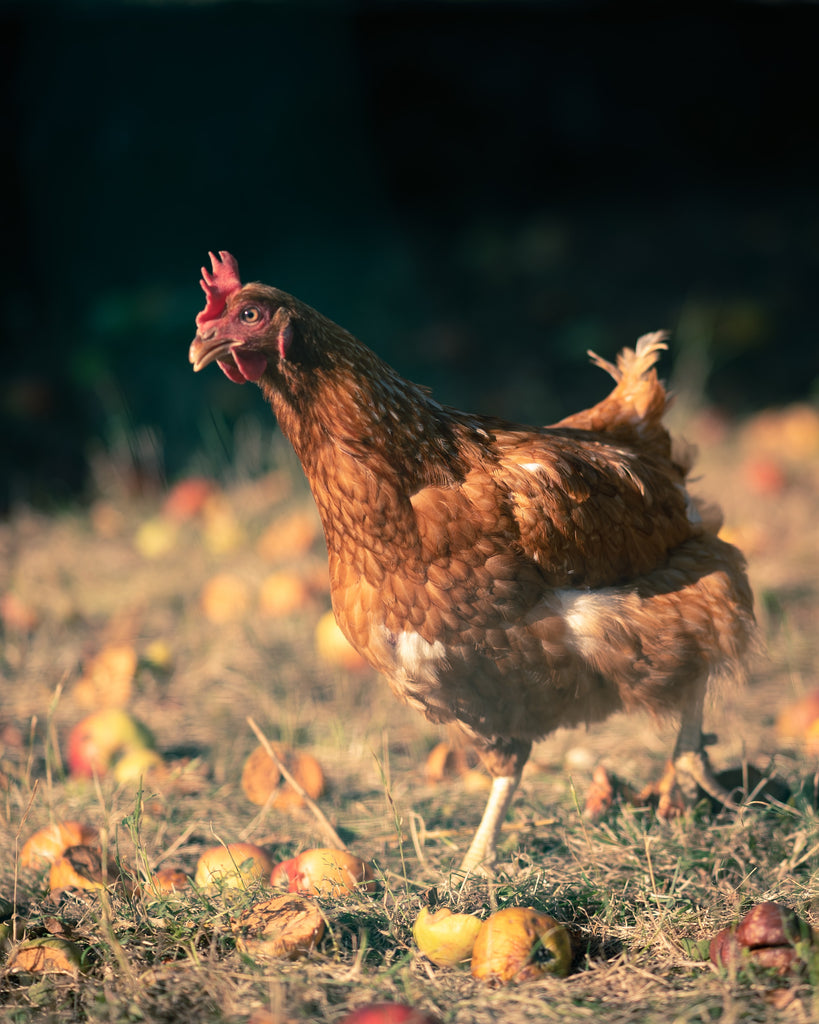 3 Great online resources for gardeners