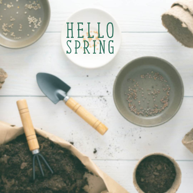 Spring Collection