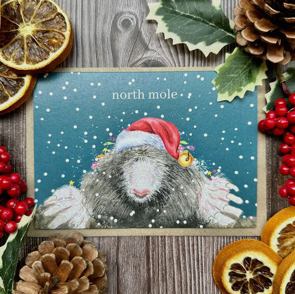 Christmas cards - Jen winnett eco art
