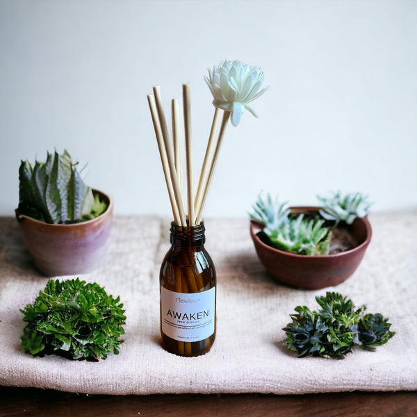 Eco friendly reed diffuser