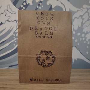 Grow your own orange balm starter pack