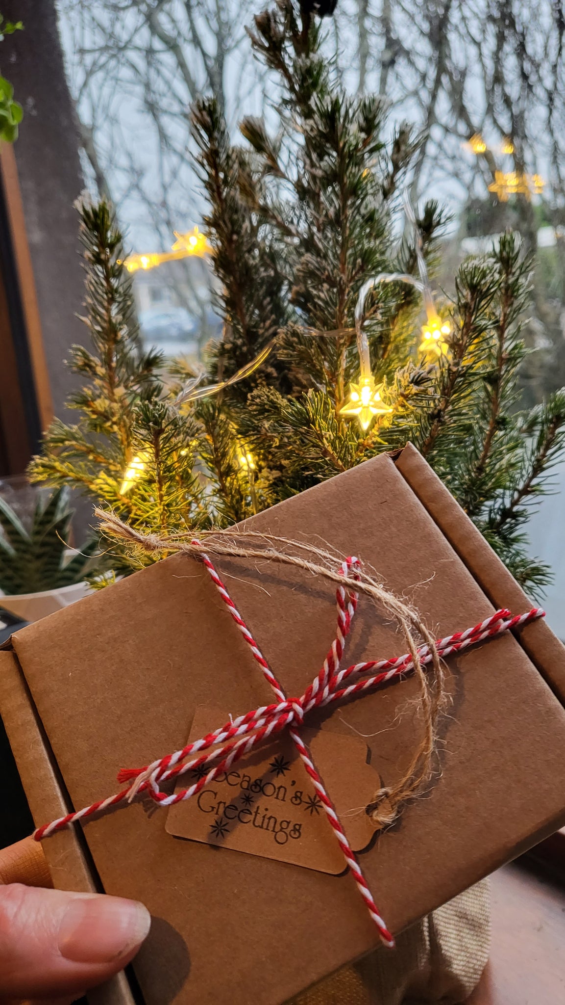 Candy Cane Christmas gift set