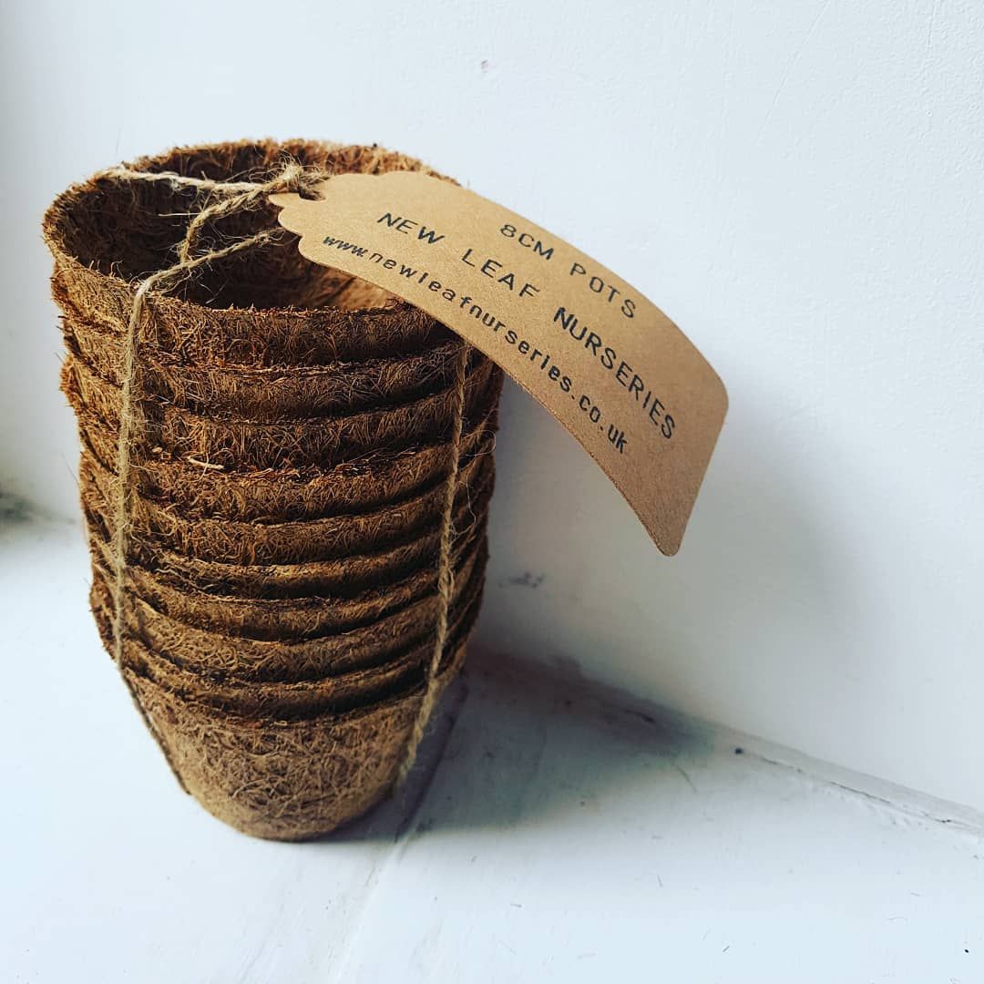 8cm biodegradable coir pots