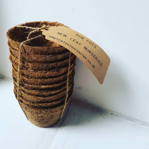8cm biodegradable coir pots