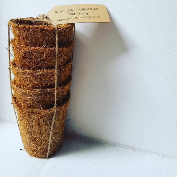 8cm biodegradable coir pots