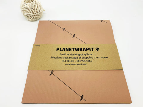 Recycled Kraft Paper Gift Wrapping (Occassion)