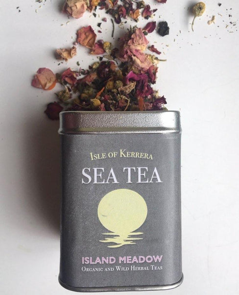 Tea Lovers Guide to the Galaxy - Gift Pack