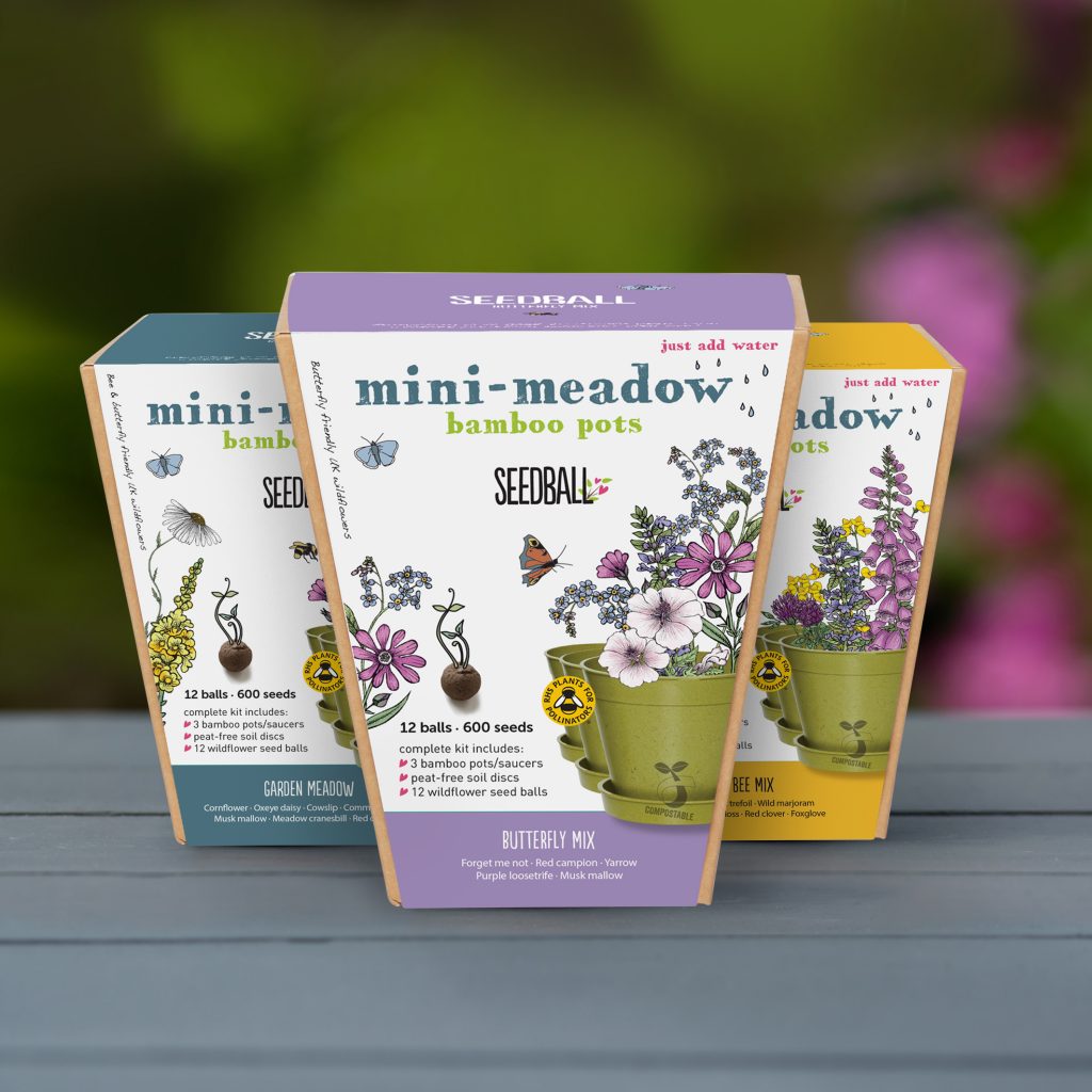 Seedball min meadow bamboo pots x3