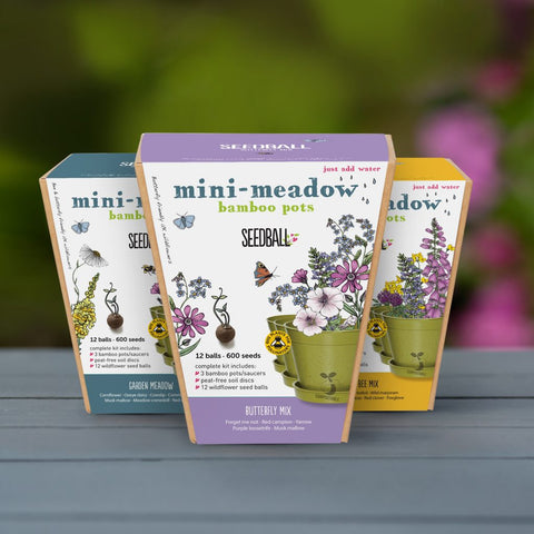 Seedball min meadow bamboo pots x3