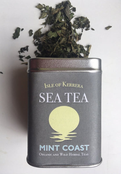Tea Lovers Guide to the Galaxy - Gift Pack