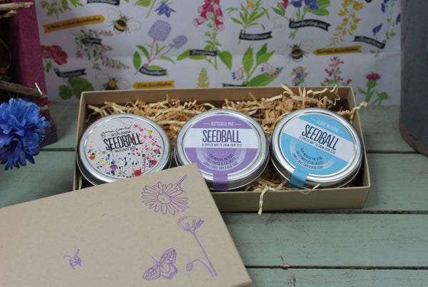 Seedball wildlife gift set seed tins