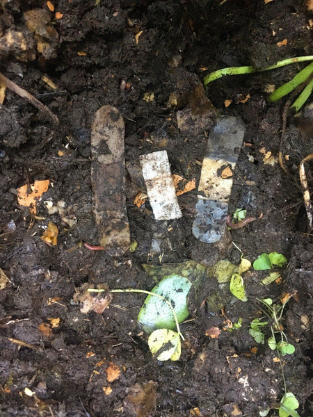 Biodegradable Patch Plasters