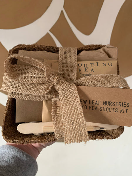 Grow your own Pea Shoots kit