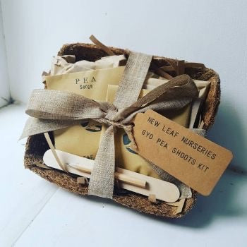 Grow your own Pea Shoots kit