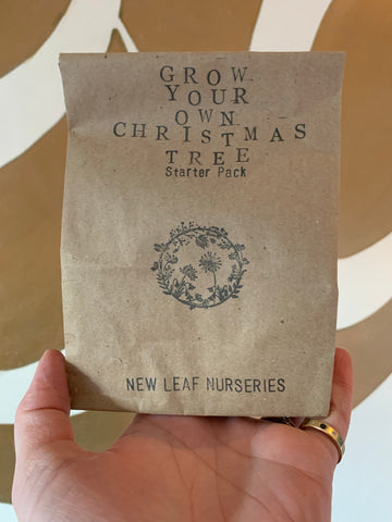 Grow your own Christmas Tree starter pack
