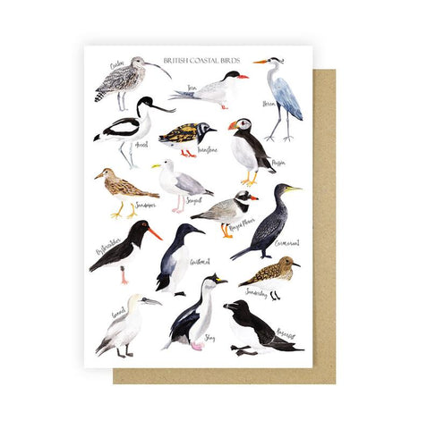 Sarah Frances - Greetings cards (singles)