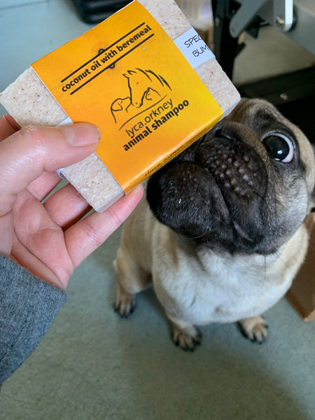 Pet shampoo bar - various