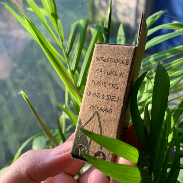 Vegan dental floss