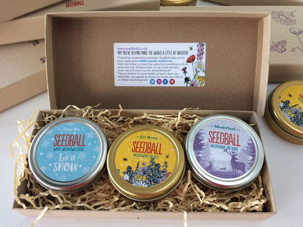 Seedball festive gift set seed tins