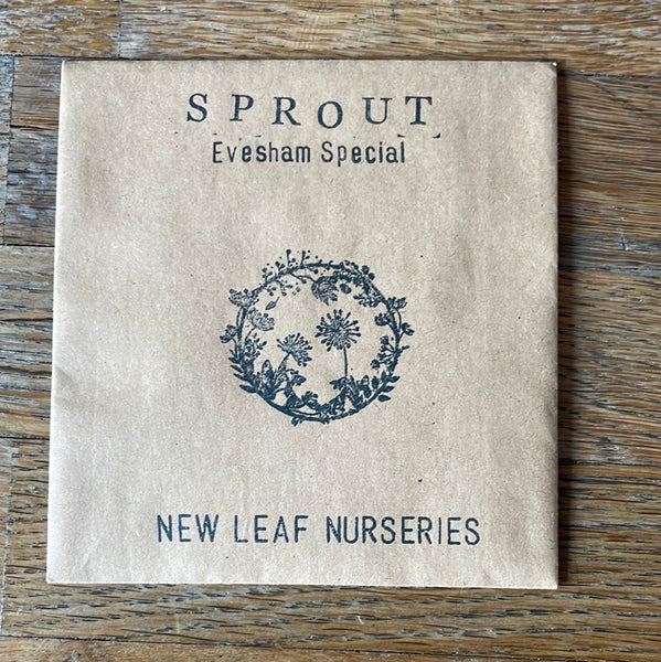 Single Packs of seeds (vegetables)