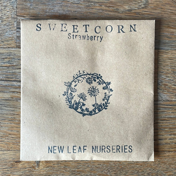 Single Packs of seeds (vegetables)