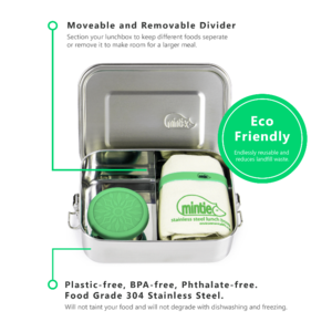 Mintie snug lunch boxes