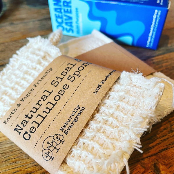 Naturally evergreen dish washing sponge
