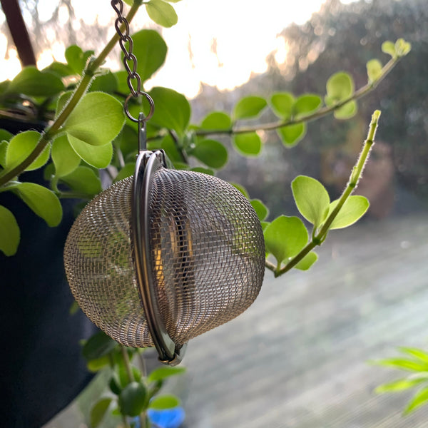 Loose leaf tea strainer