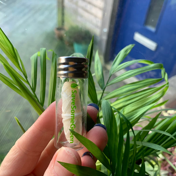 Vegan dental floss