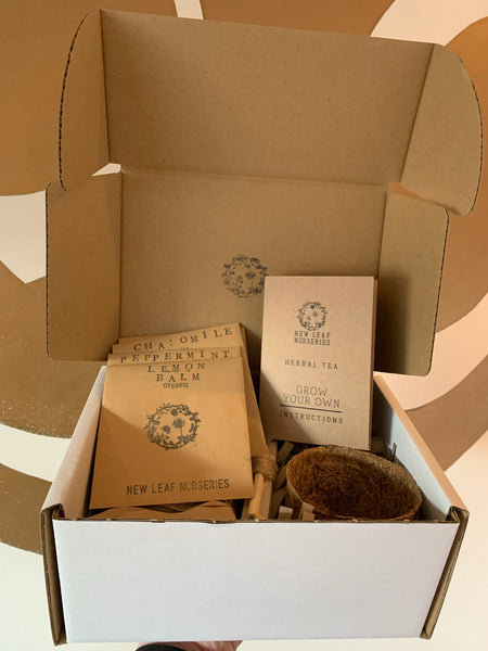 New Leaf Nursery Grow your Meal kit
