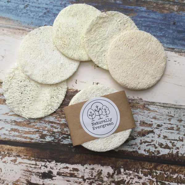 Naturally evergreen mini loofah discs