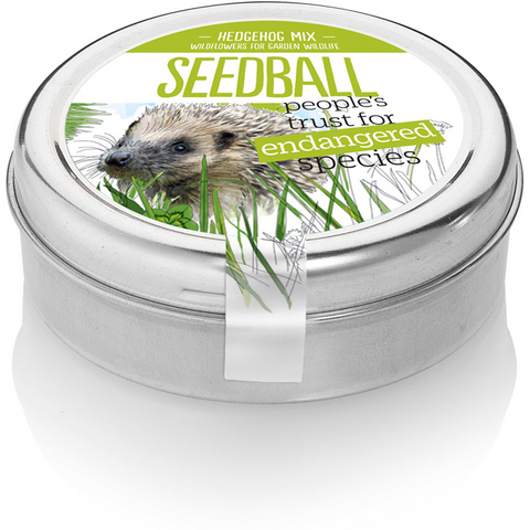 Seedball hedgehog mix seed tin 🦔