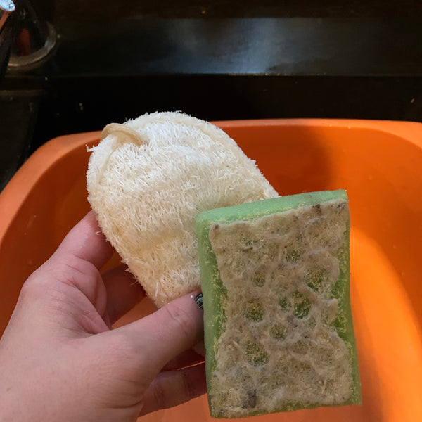 Naturally evergreen dish washing loofah (2 pack)