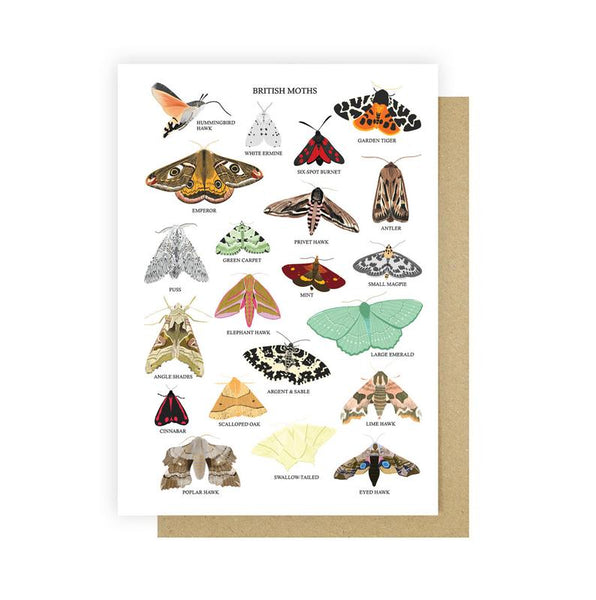 Sarah Frances sticker sheet