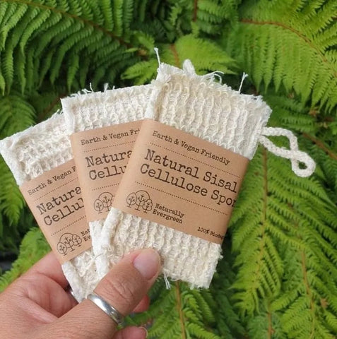 Naturally evergreen dish washing sponge