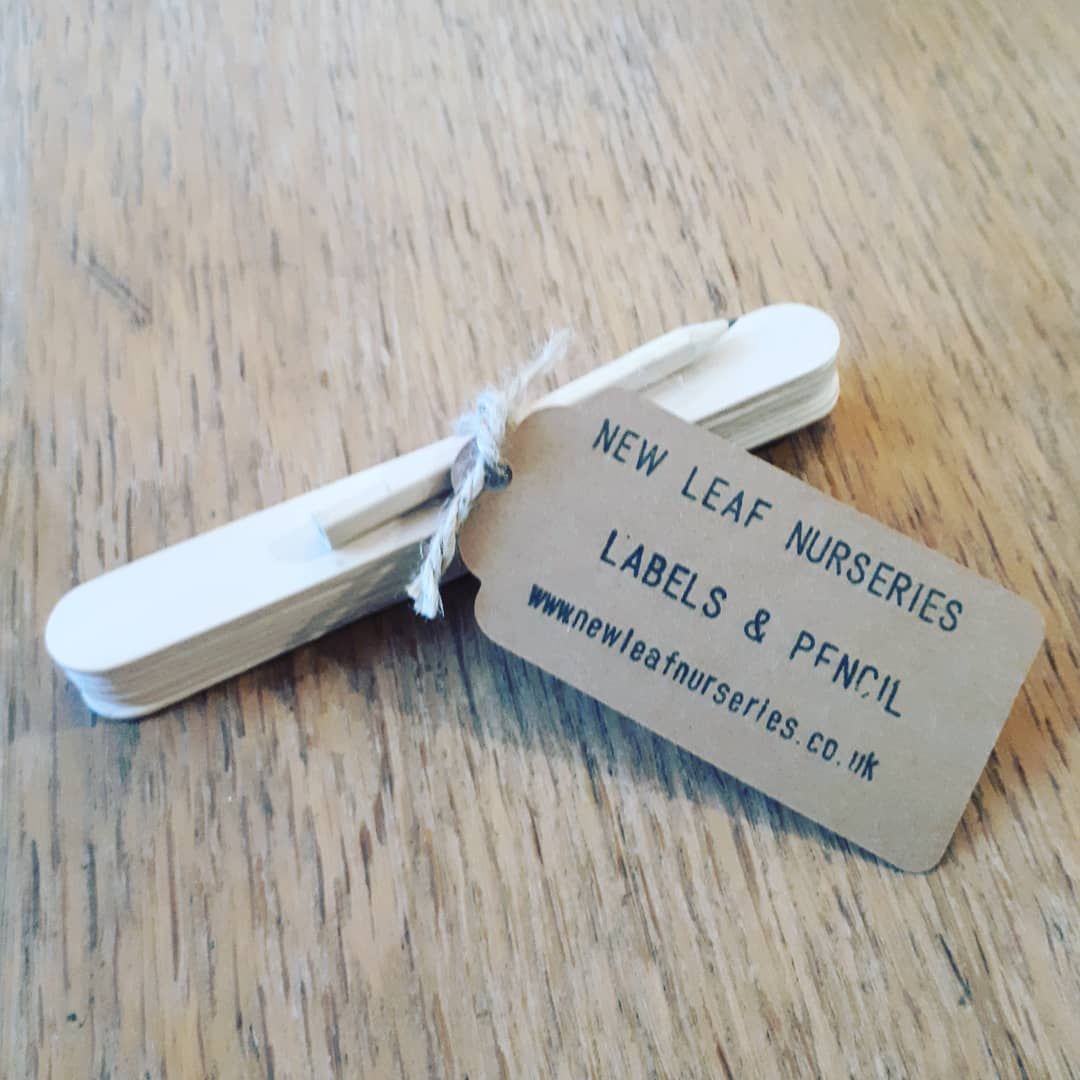 Biodegradable Garden Labels