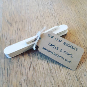 Biodegradable Garden Labels