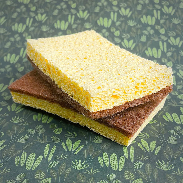Friendly Soap kitchen sponge