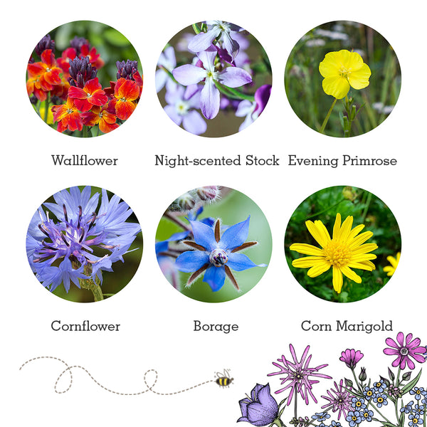 Seedball wildlife collection seedboxes