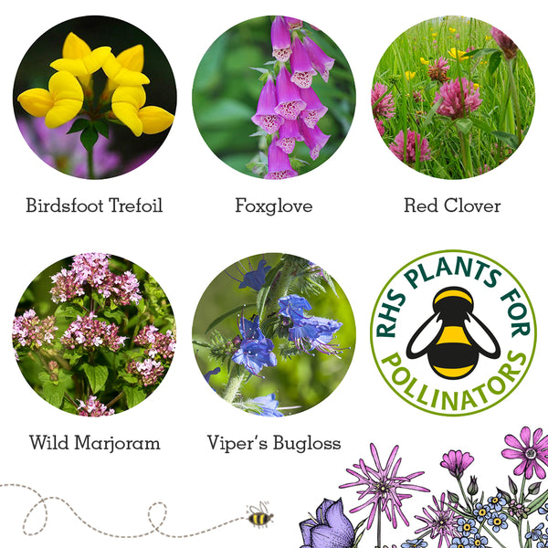 Seedball wildlife collection seedboxes