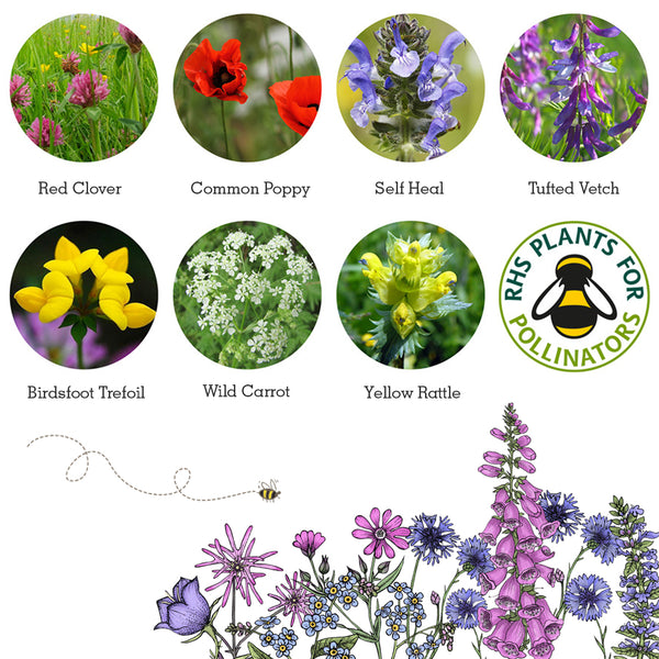 Seedball wildlife collection seedboxes