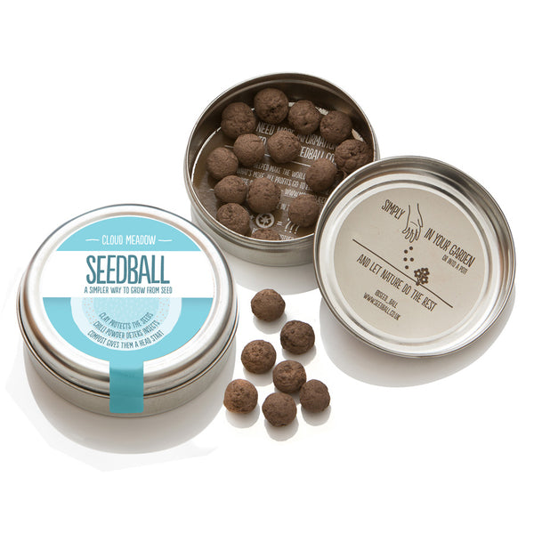 Seedball Cloud Meadow mix tin