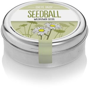 Seedball Oxeye Daisy seed tin