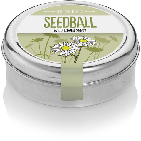 Seedball Oxeye Daisy seed tin