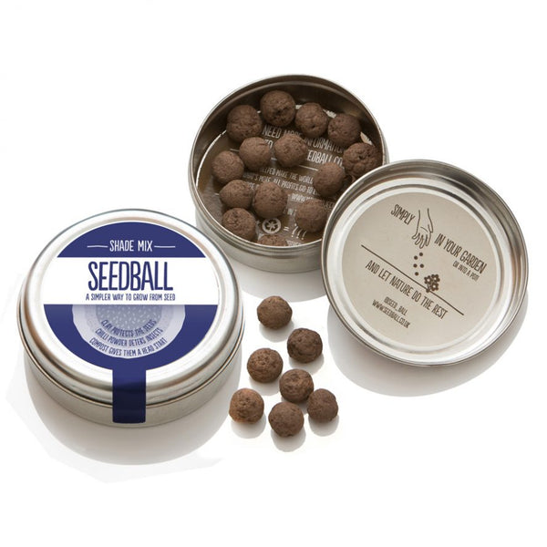 Seedball Shade mix tin